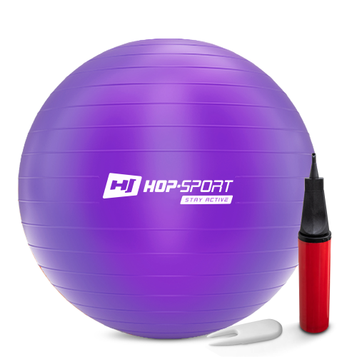 Купить Фитбол  Hop-Sport 65cm HS-R065YB violet + насос в Киеве - фото №1